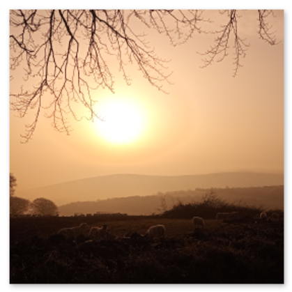 A sunrise image near Wilmersham Farm on Exmoor near Porlock, UK